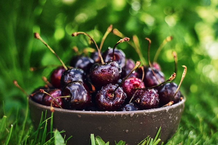Cherries